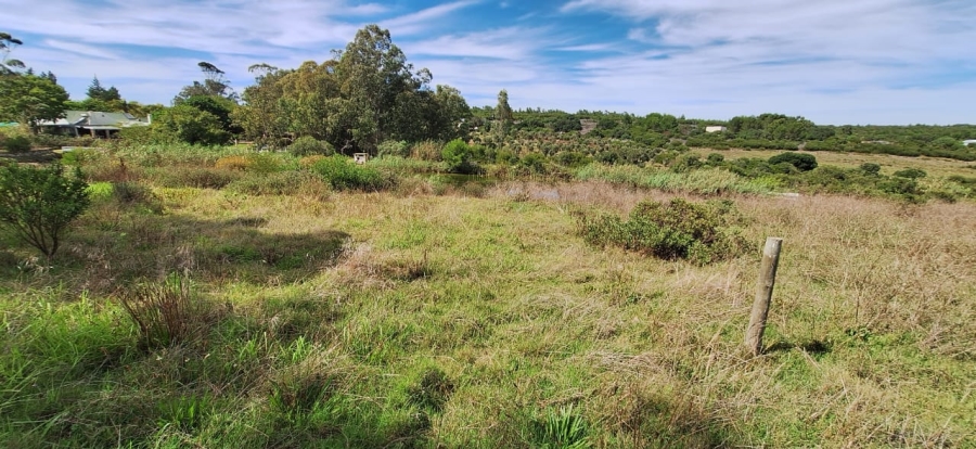 0 Bedroom Property for Sale in Stilbaai Oos Western Cape